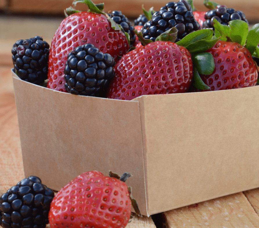 Barquettes carton neutres ou imprimées