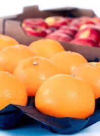 Plateaux et alvéoles