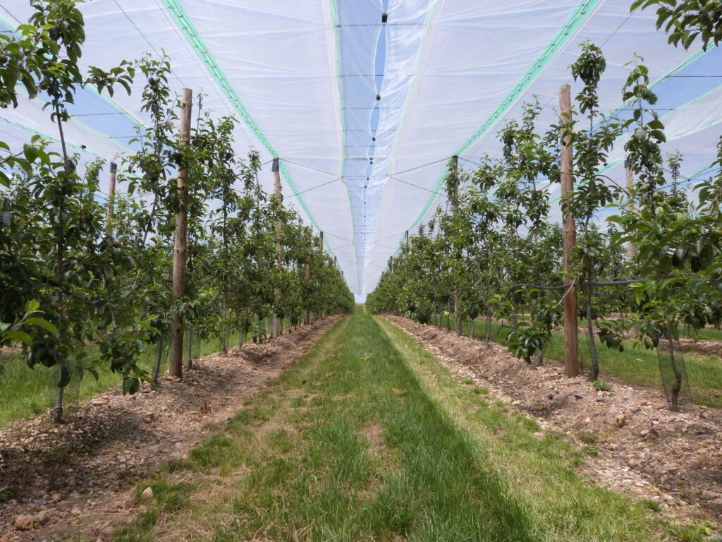 Protection contre les ravageurs Alt'Tavelure