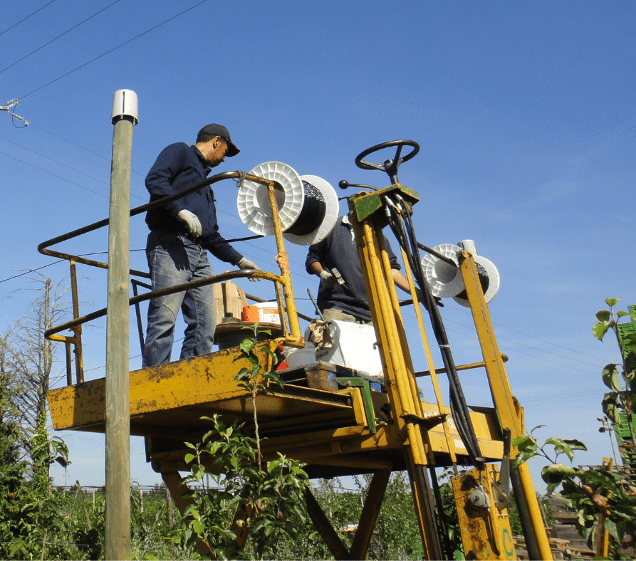 Structure et palissage pour l’arboriculture installation deltex