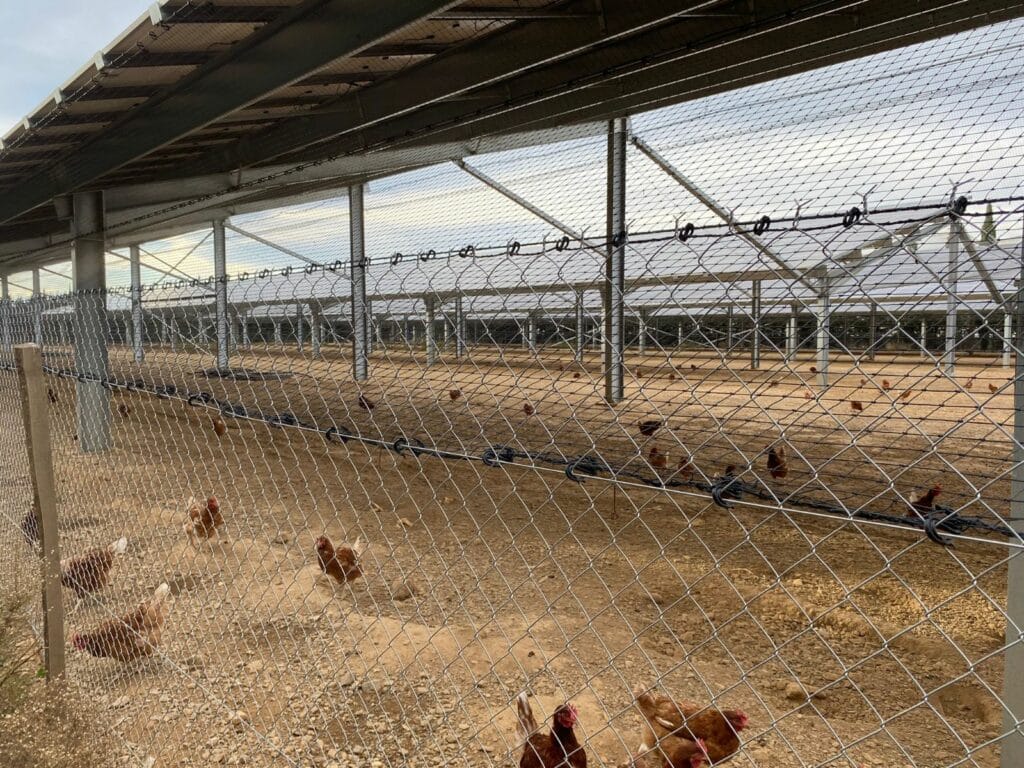 anti oiseaux sous ombrière photovoltaïque