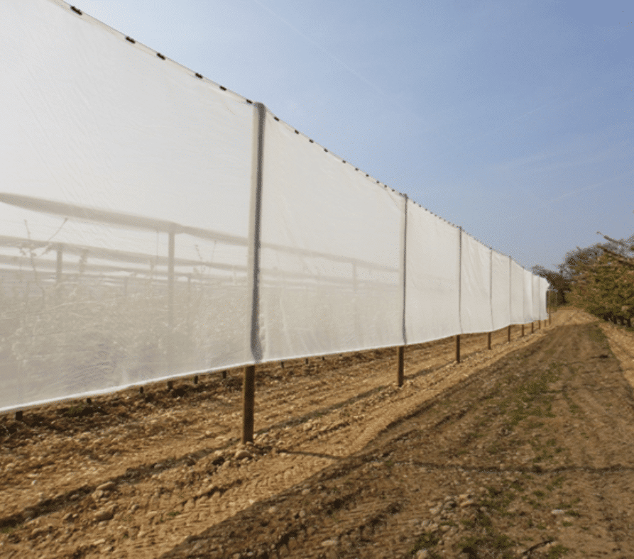 Protection de l'environnement dérives