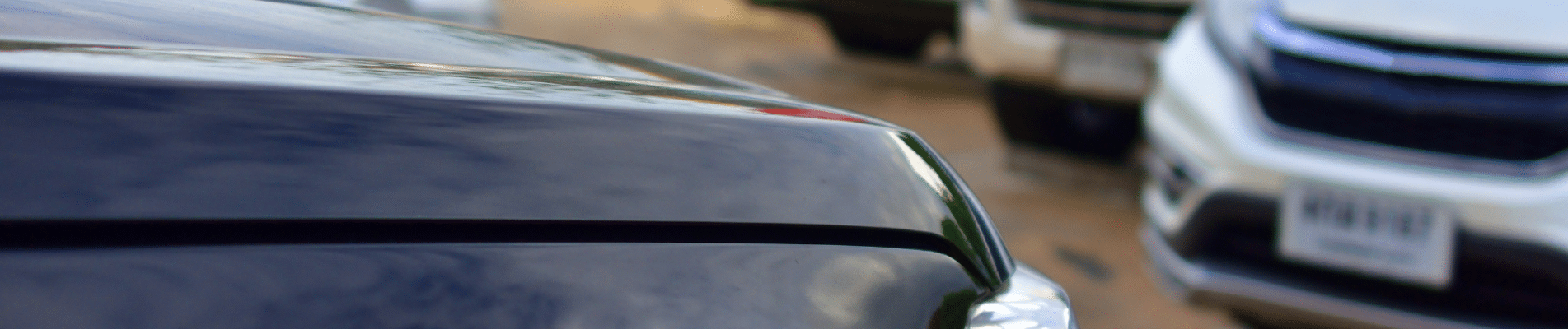 Protection parcs automobiles