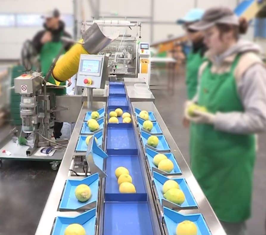 Contrôle et tri Trieuse pondérale