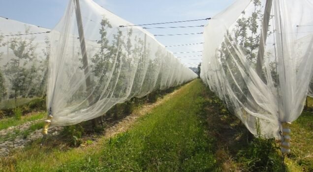 Plan FranceAgriMer - Filpack