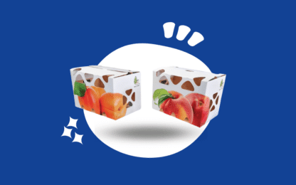 Nouvelles barquettes à fond automatique Filpack fabriquées en France