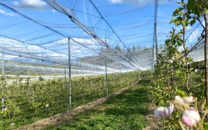 Protection des cultures : Filpack sous les projecteurs de la presse agricole !